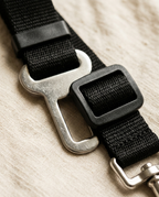 Dog Car Seat Belt