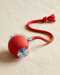 Interactive Dog Ball